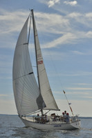2016 Vineyard Race A_0413