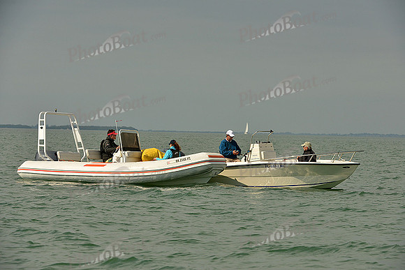 2015 VX1 Winter Series A 581