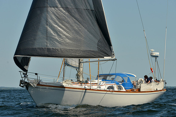 2015 Vineyard Race C 345