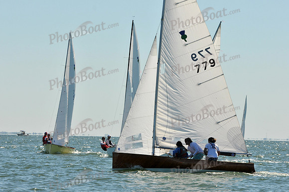 2012 Thistle Midwinters A 475