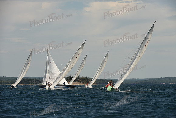 2016 Chester Race Week A_1180