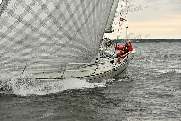 2018 Vineyard Race A_2794