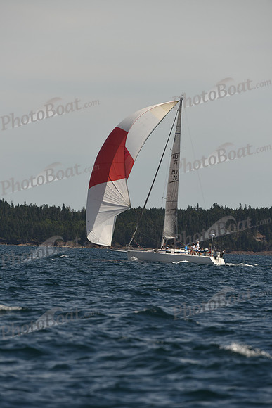 2016 Chester Race Week A_0212