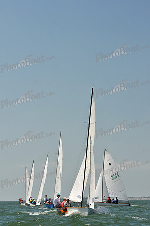 2012 Thistle Midwinters C 593