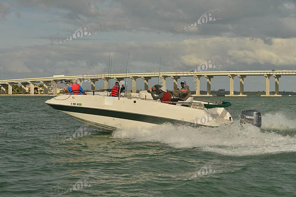 2019 Feb 10 Tampa Bay B_0670