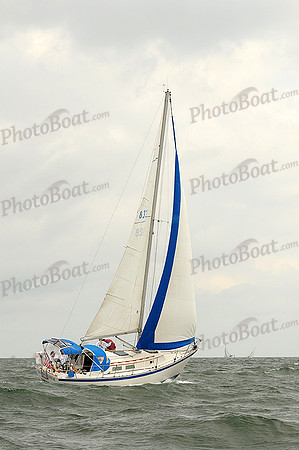 2012 Cape Charles Cup A 537