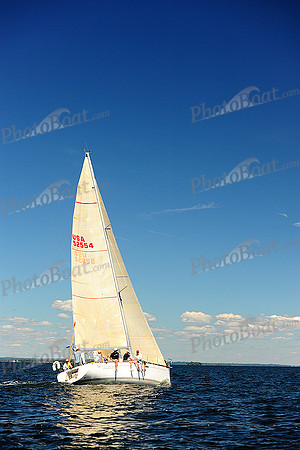 2014 Vineyard Race A 1104