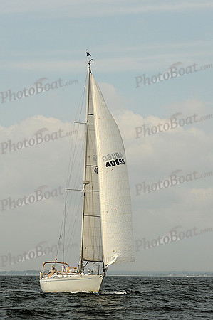 2013 Vineyard Race A 394