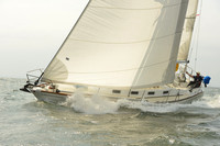 2015 Vineyard Race A 373