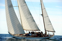 2014 Newport Bermuda A 2443
