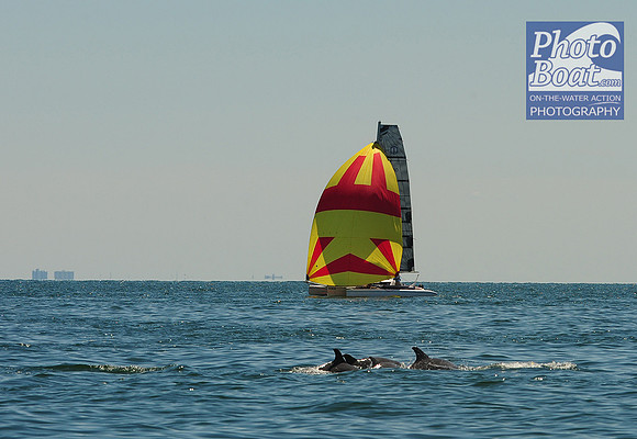 2015 Cape Charles Cup B 492
