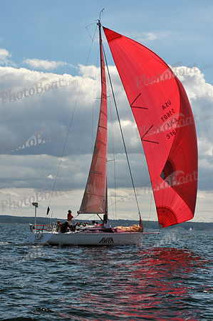 2010 IRC LIS 1343