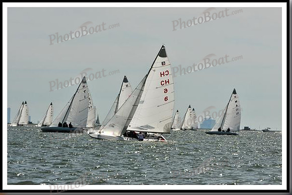 proof_2010_EScows_E 864