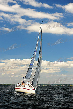 2014 Vineyard Race A 501