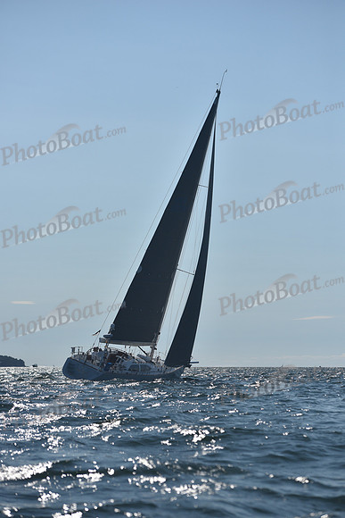 2021 Vineyard Race B 1920