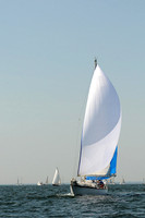 2012 Vineyard Race A 300