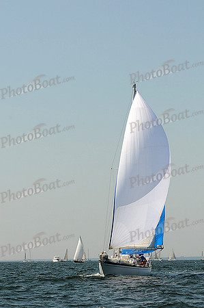 2012 Vineyard Race A 300
