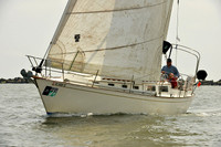 2015 Charleston Race Week B 494