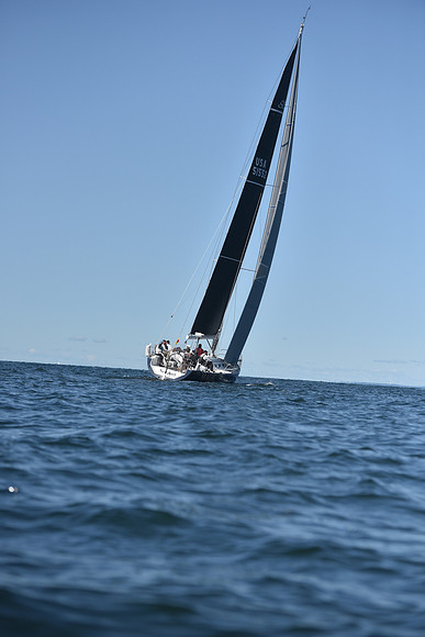 2021 Vineyard Race B 0184