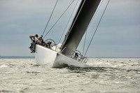 2018 Vineyard Race A_2135