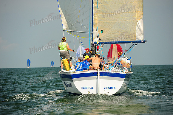 2014 Cape Charles Cup A 776