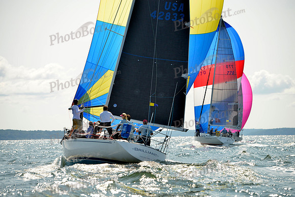 2017 Stamford Denmark Race_0591