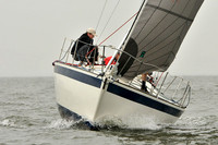 2014 Southern Bay Race Week A 289