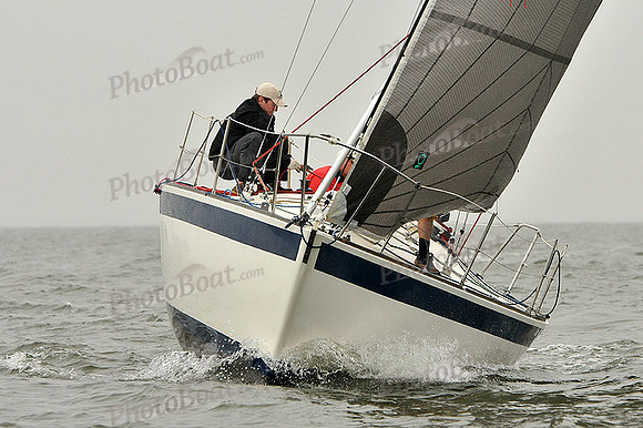 2014 Southern Bay Race Week A 289