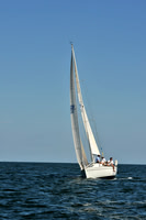 2010 Leukemia Cup B 527
