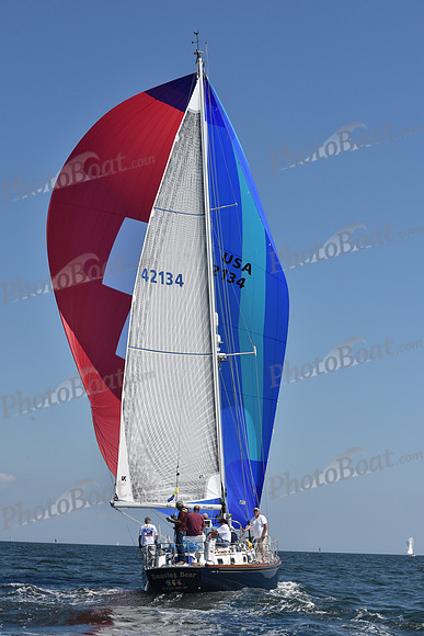 2020 Vineyard Race A_0802