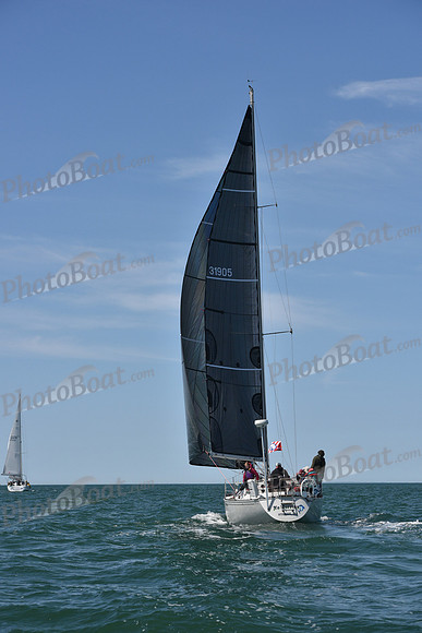 2019 Figawi_0786