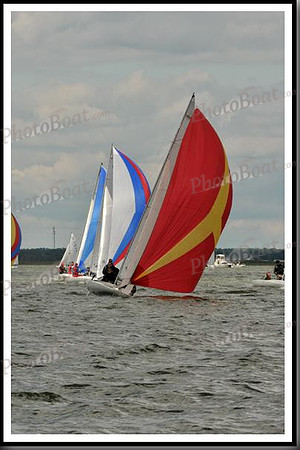 proof_2010_EScows_B 533