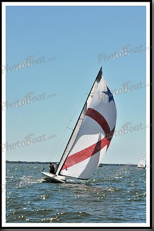 proof_2010_EScows_D 463