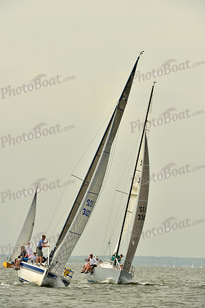 2016 Southern Bay Race Week A_0267