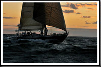 proof_2010_Vineyard_Race_2468