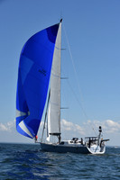 2020 Vineyard Race A_2016