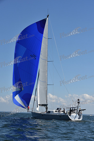 2020 Vineyard Race A_2016