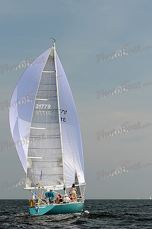 2013 Vineyard Race A 1148