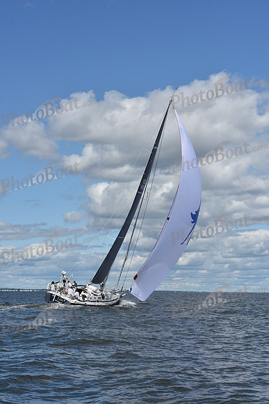 2021 Vineyard Race A 2166