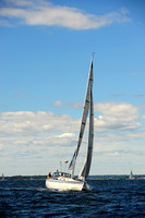2014 Vineyard Race A 232