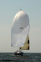 2013 Vineyard Race A 1843