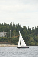 2016 Chester Race Week F_0195