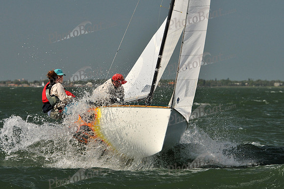 2012 Thistle Midwinters B 773