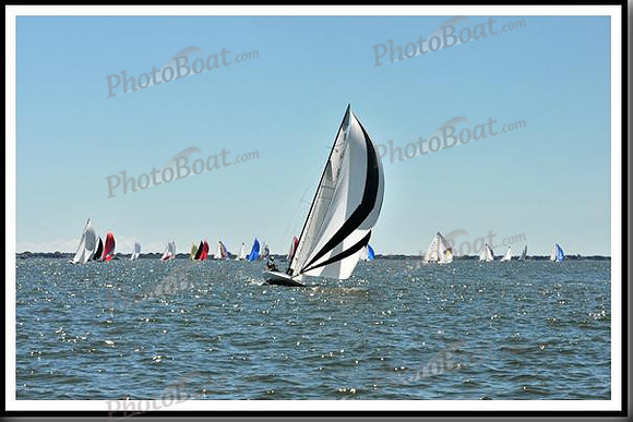 proof_2010_EScows_D 312