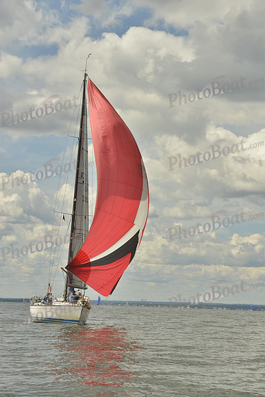 2016 Vineyard Race A_1084