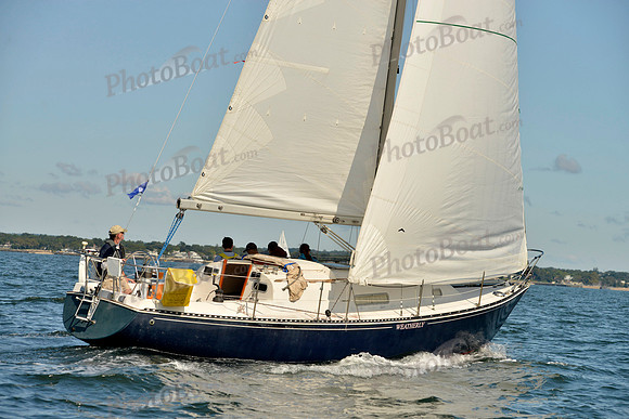 2017 Stamford Denmark Race_0164