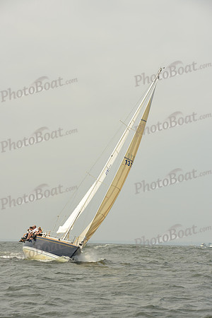 2015 Vineyard Race A 220