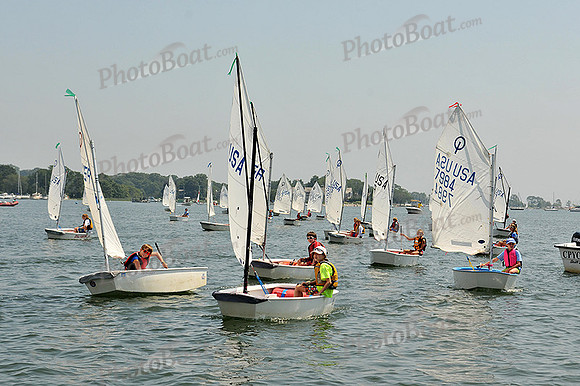 2012 Opti Green Fleet 394