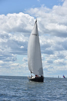 2021 Vineyard Race A 1501