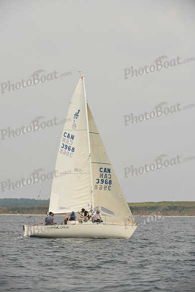 2016 Chester Race Week D_0276